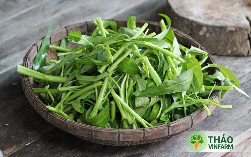 Hạt giống rau muống Thảo Vinfarm