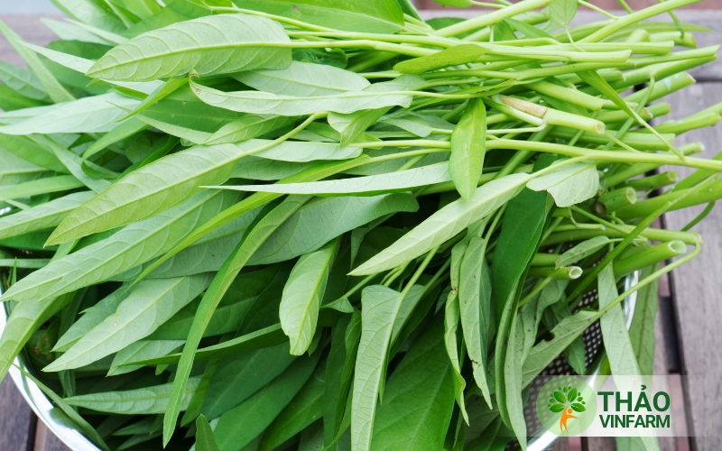 Lưu ý khi dùng rau muống